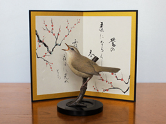 鳥の置物「万葉集に詠まれた鳥 鶯（うぐいす）」/ ウグイスのフィギュアと屏風のセット