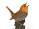 奈良県鳥 【 駒鳥　こまどり 】/ 野鳥フィギュア　コマドリ 画像1
