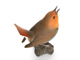 奈良県鳥 【 駒鳥　こまどり 】/ 野鳥フィギュア　コマドリ 画像4